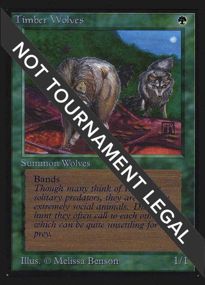 Timber Wolves