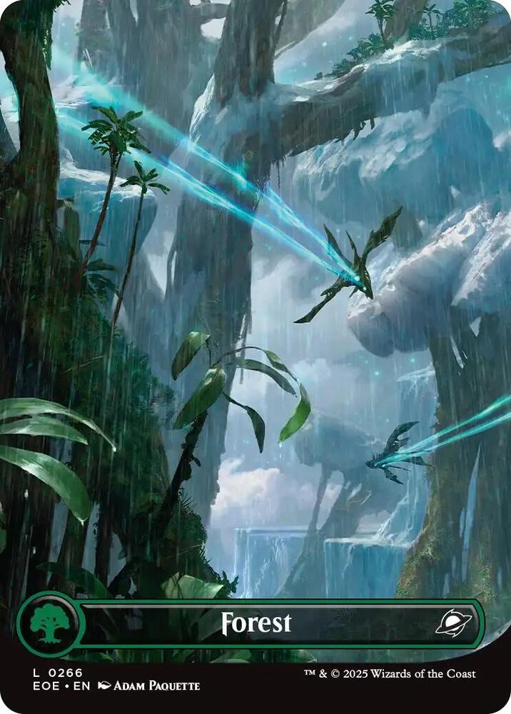 Forest (Borderless)
