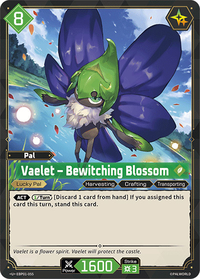 Vaelet – Bewitching Blossom