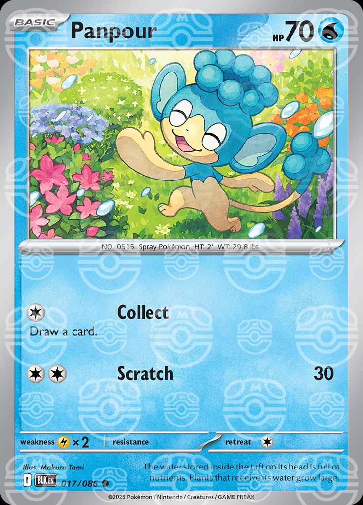 Panpour (Master Ball Pattern)
