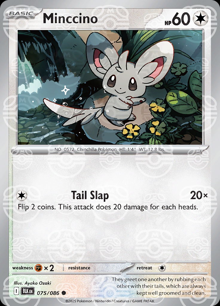 Minccino (Master Ball Pattern)