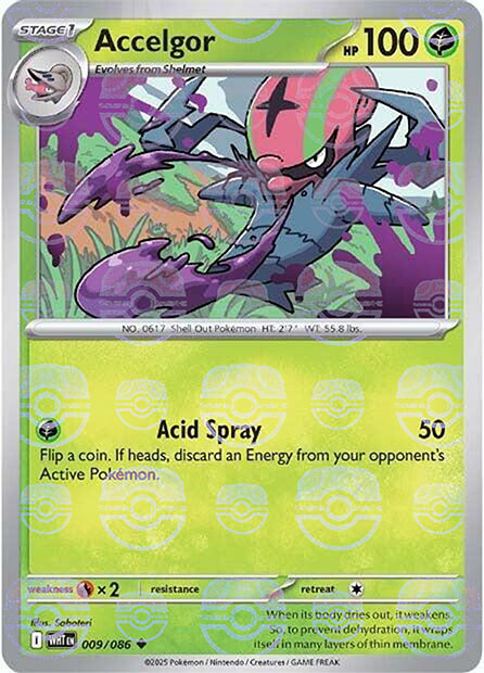 Accelgor (Master Ball Pattern)