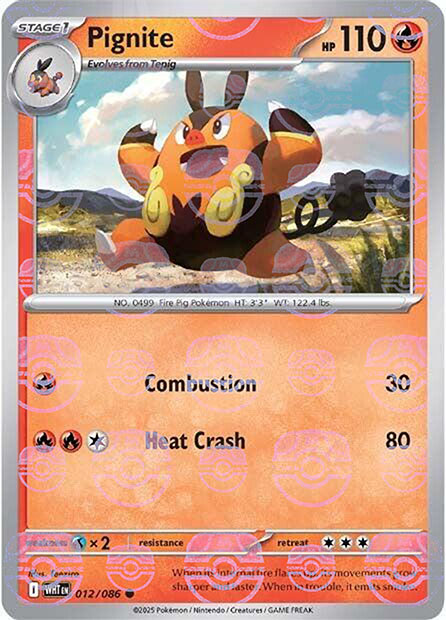 Pignite (Master Ball Pattern)