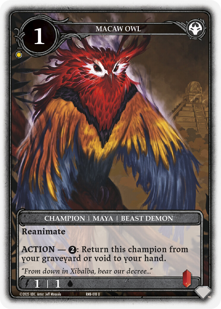 Macaw Owl